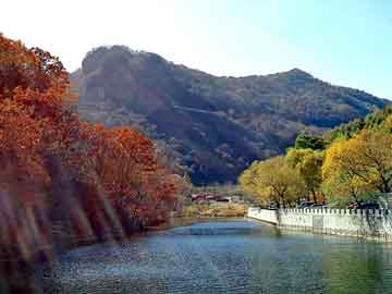 新澳天天开奖资料大全旅游团，海瑟薇爱子首曝光